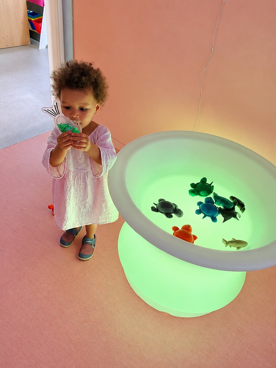 Un jeune enfant devant une grande vasque lumineuse verte remplie de petits animaux marins en plastique
